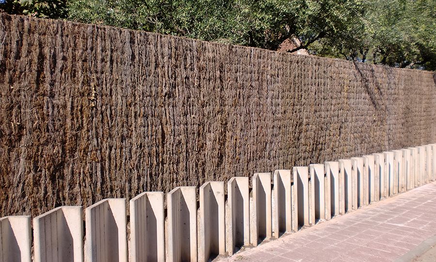 Brezo de ocultación para ganar privacidad en tu jardín de forma natural